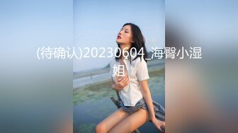 鸭哥侦探约了个苗条性感裙子甜美妹子啪啪，新视角沙发上操骑乘自己动大力猛操