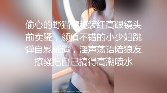 p站皮肤白皙的大长腿少妇Elena_Ross最高分辨率视频合集【72V】2 (12)