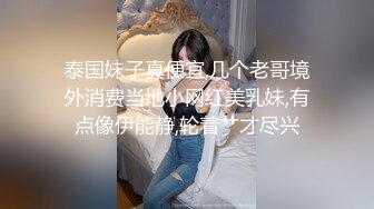 国企美艳少妇姐姐的口活