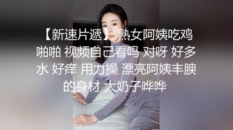 2024年2月安徽良家小少妇【海棠月色】有点儿腼腆有点儿骚，大奶子，家中性爱黑丝记录，刺激！ (4)