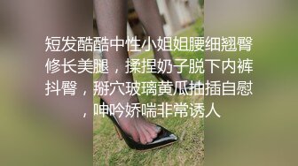 精选探花-超性感大胸妹床上被干到求饶,你太能操了 干的我好痛