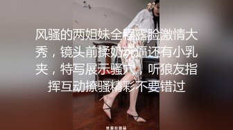 性感骚女仆主人专属肉便器