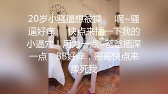 后入大奶骚妇，二哈观战