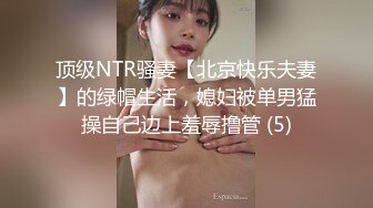 顶级NTR骚妻【北京快乐夫妻】的绿帽生活，媳妇被单男猛操自己边上羞辱撸管 (5)