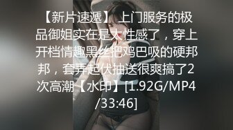 黄发巨乳女友续集