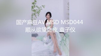 国产麻豆AV MSD MSD044 顺从欲望之夜 袁子仪