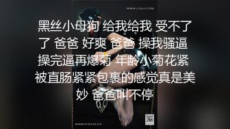 骚叫的少妇