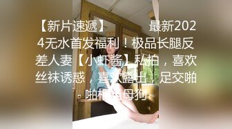 爱豆传媒 ID-5383 偷心女盗的完美性任务