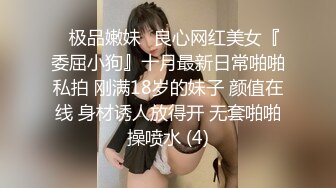 极品风骚少妇1