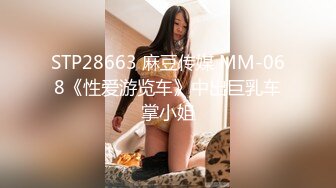 STP28663 麻豆传媒 MM-068《性爱游览车》中出巨乳车掌小姐