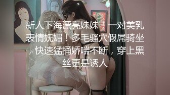 王俪丁呀 性感黑色情趣内衣服饰 风情万种 丰腴姿态摄人心魄