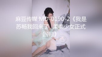 麻豆传媒 MD-0190-2《我是苏畅我回来了⭐柔美少女正式回归》