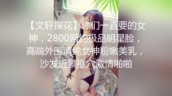 【文轩探花】你们一直要的女神，2800网约极品明星脸，高端外围清纯女神粉嫩美乳，沙发近景抠穴激情啪啪