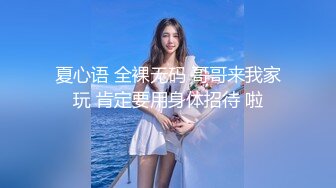 Al&mdash;克莉丝汀娜・汉卓克斯 洗衣机内做爱