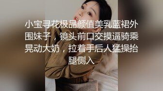 小宝寻花极品颜值美乳蓝裙外围妹子，镜头前口交摸逼骑乘晃动大奶，拉着手后人猛操抬腿侧入