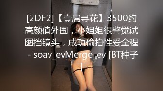 [2DF2]【壹屌寻花】3500约高颜值外围，小姐姐很警觉试图挡镜头，成功偷拍性爱全程 - soav_evMerge_ev [BT种子]