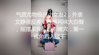 气质尤物极品小女友2，外表文静很反差，性感网袜大白臀，摇摆求操，超粉嫩穴，第一视角后入猛干