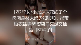 [2DF2]小小张探探花约了个肉肉身材大奶少妇啪啪，吊带睡衣丝袜69姿势口交足交抽插  [BT种子]