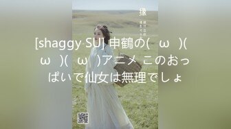 【中文字幕】「你喜欢像妈妈一样的大妈妈吗？」被发现看熟女AV，被母亲中出。小早川怜子