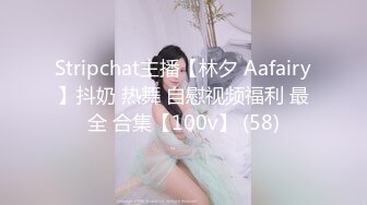 Stripchat主播【林夕 Aafairy】抖奶 热舞 自慰视频福利 最全 合集【100v】 (58)