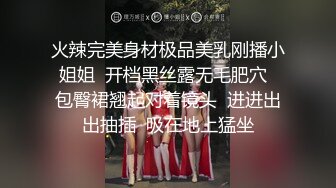 火辣完美身材极品美乳刚播小姐姐  开档黑丝露无毛肥穴  包臀裙翘起对着镜头  进进出出抽插  吸在地上猛坐