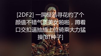 [2DF2] 一屌极品寻花约了个颜值不错气质美女啪啪，蹲着口交扣逼抽插上位骑乘大力猛操[BT种子]