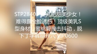 10/13最新 小少妇黑玫瑰豹纹标配骚道具假屌自慰高潮浪叫VIP1196