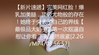 顶级约啪大神dulianmaomao 付费啪啪 极品少妇人妻，各色良家的肉体享用不断，推荐！ (3)