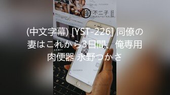 (中文字幕) [YST-226] 同僚の妻はこれから3日間、俺専用肉便器 永野つかさ