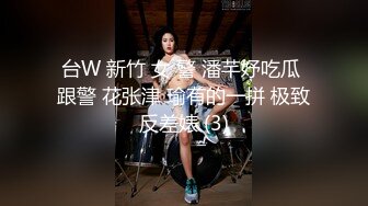 台W 新竹 女 警 潘芊妤吃瓜 跟警 花张津 瑜有的一拼 极致反差婊 (3)