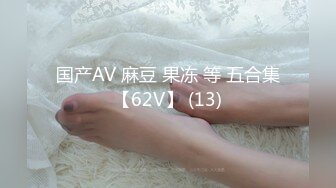 国产AV 麻豆 果冻 等 五合集【62V】 (13)