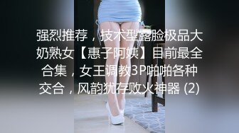 强烈推荐，技术型露脸极品大奶熟女【惠子阿姨】目前最全合集，女王调教3P啪啪各种交合，风韵犹存败火神器 (2)