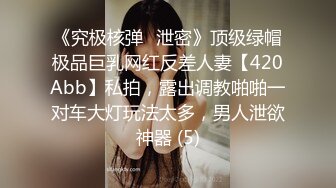 《究极核弹✅泄密》顶级绿帽极品巨乳网红反差人妻【420Abb】私拍，露出调教啪啪一对车大灯玩法太多，男人泄欲神器 (5)