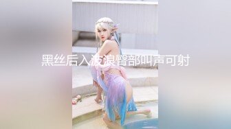 黑丝后入波浪臀部叫声可射