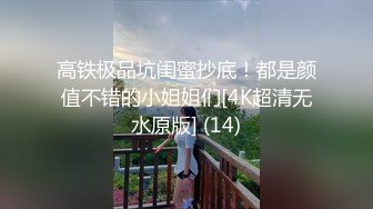 高铁极品坑闺蜜抄底！都是颜值不错的小姐姐们[4K超清无水原版] (14)