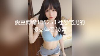 愛豆傳媒 ID5253 社恐宅男的援交伴侶 淩萱