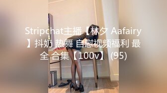 Stripchat主播【林夕 Aafairy】抖奶 热舞 自慰视频福利 最全 合集【100v】 (95)