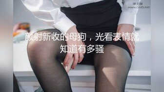 紅斯燈影像 RS018 引誘我的騷逼巨乳同事