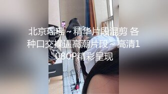 北京瑶瑶～精华片段混剪 各种口交操逼高潮片段～高清1080P精彩呈现