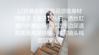 12月最新购买极品顶级身材烧婊子【橙子】私拍，透丝肛塞户外露出母狗式边走边尿道具紫薇高潮抽搐，特写镜头视觉盛宴 (9)