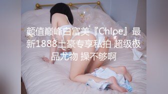 精品泄密十三 泄密16部 記錄精彩時刻[198P+98V/641M]